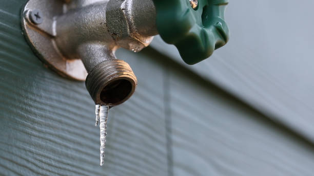 Best Plumbing Inspection Services  in Worth, IL